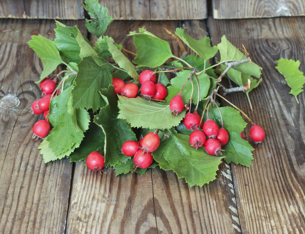 秋天的木制背景与山楂浆果素材图片