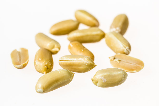 去皮花生仁组图片下载