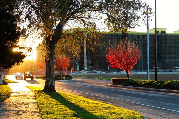 日落和两辆车图片下载
