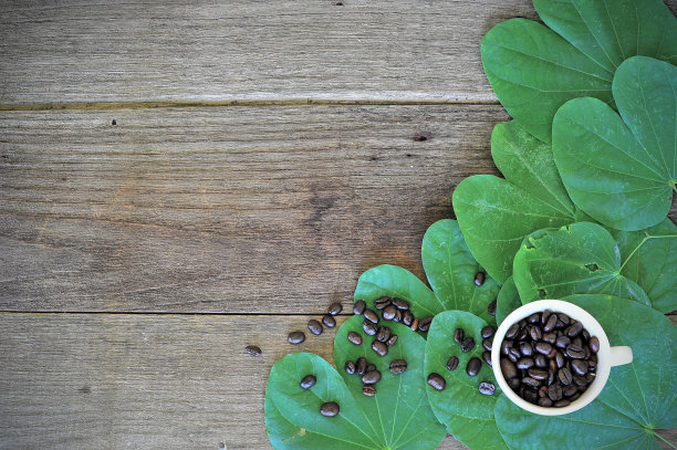 咖啡杯图片下载