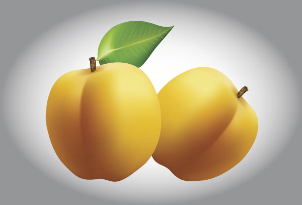 杏用树叶图片下载