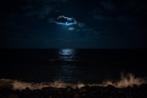 月光下的海图片下载