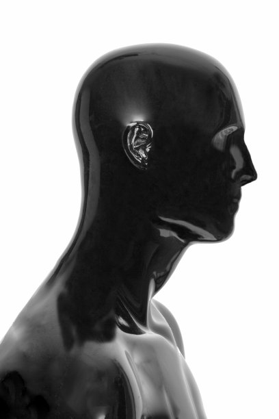 男性人体模型的头图片下载