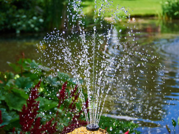 花园中的装饰性池塘和喷泉图片下载