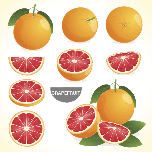 葡萄柚与叶子在各种风格矢量格式的集合图片下载