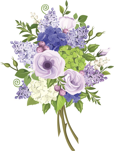 一束紫色、蓝色、白色和绿色的花。矢量插图。图片下载
