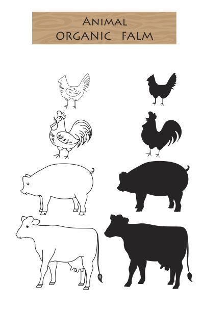 剪影集农场动物，牛，猪，鸡与名字集合图片下载