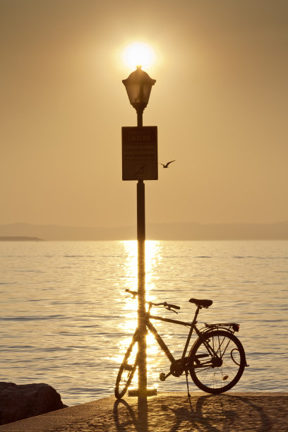 在湖边骑车图片下载