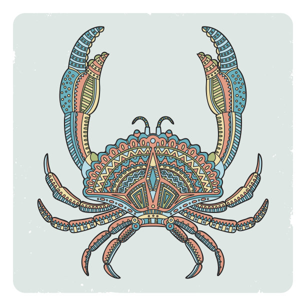 白色背景下螃蟹的特写镜头图片下载