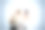 狗特写肖像图片下载
