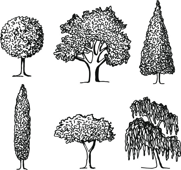 一组树的轮廓。图片下载