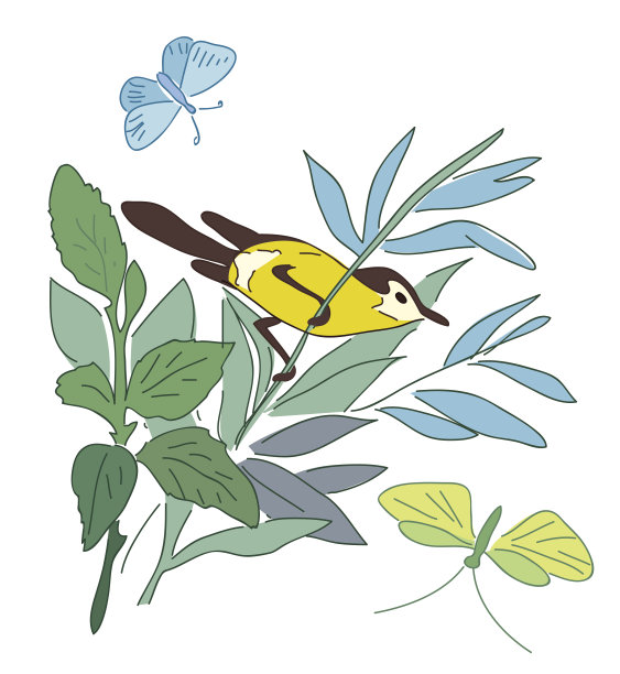 树枝上的小鸟-夏季自然-载体图片下载