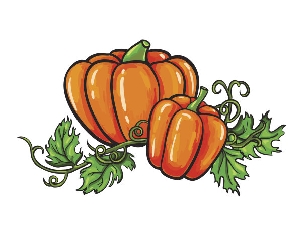 南瓜矢量图。孤立卡通蔬菜与叶o图片下载