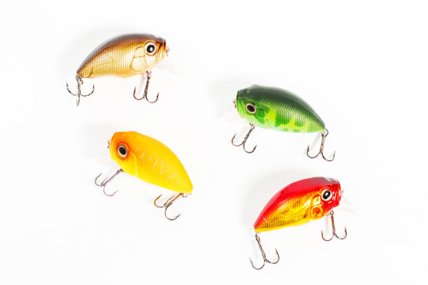 鱼饵特写孤立在白色的背景图片下载