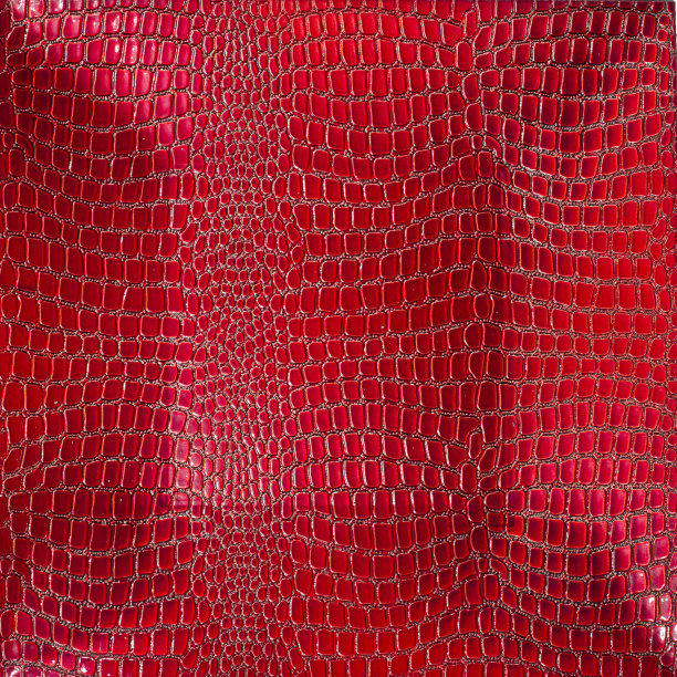 背景红漆鳄鱼。凹形。图片下载