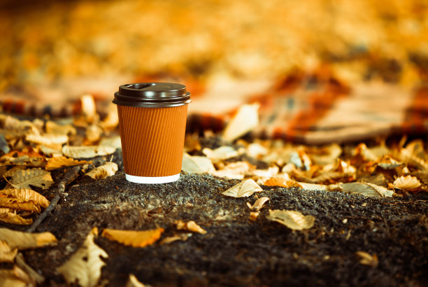 在秋天的森林里喝杯咖啡图片下载