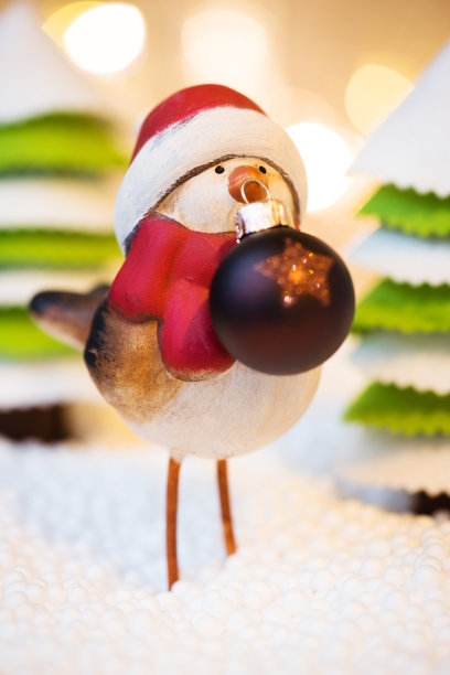 罗宾和圣诞舞会在森林里图片下载