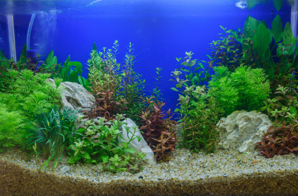 人工水族馆的景观设计图片下载