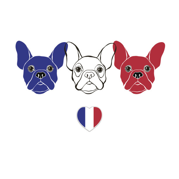 法国斗牛犬的颜色是法国国旗。图片下载