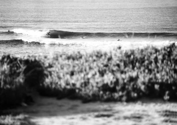 骑着管图片下载