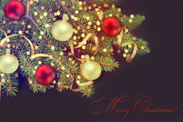 圣诞树装饰在黑色。图片下载