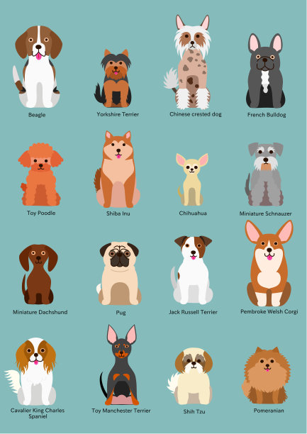 狗狗矢量图素材ID：129960970