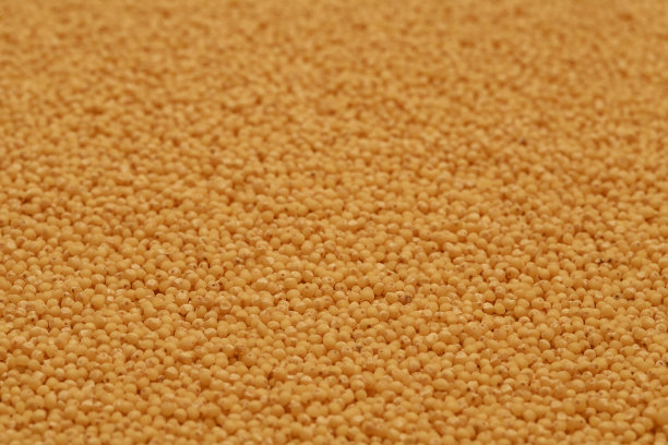 小米燕麦照片图片下载