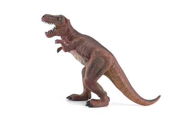 雷克斯暴龙塑料玩具。图片下载