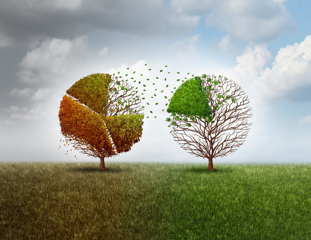 投资新业务素材图片