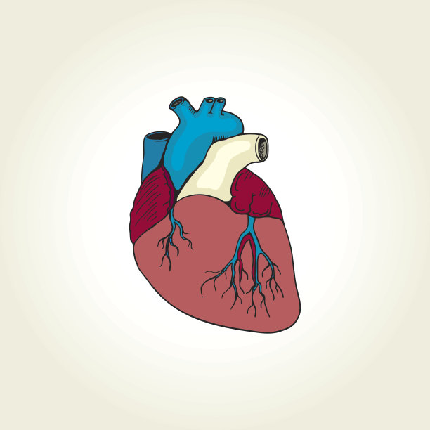 真实的心图片下载