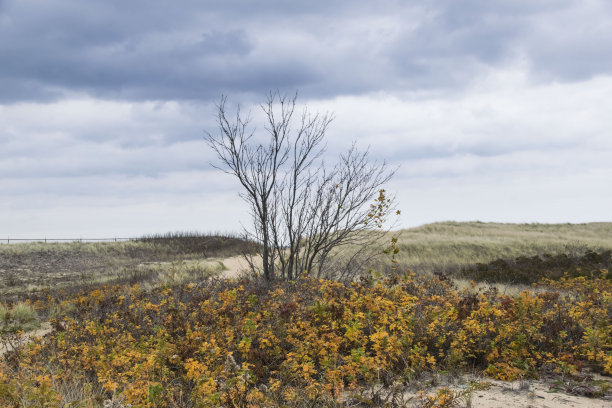 开放的景观,图片下载