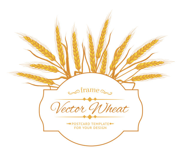 小麦耳卡。图片下载