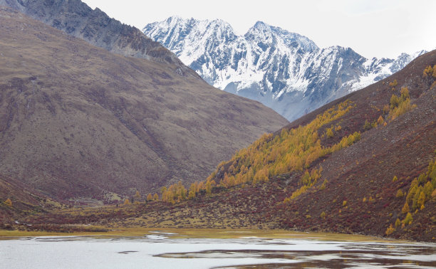 四川的高山景色图片下载