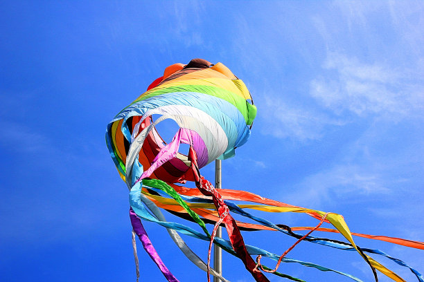 飞翔的自由图片下载