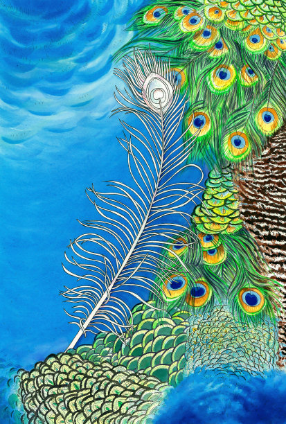 孔雀羽毛的原画图片下载