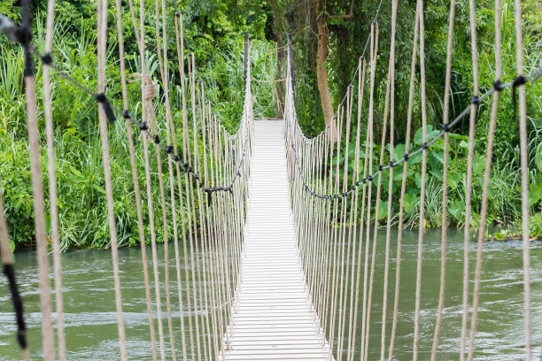 绳索桥4图片下载