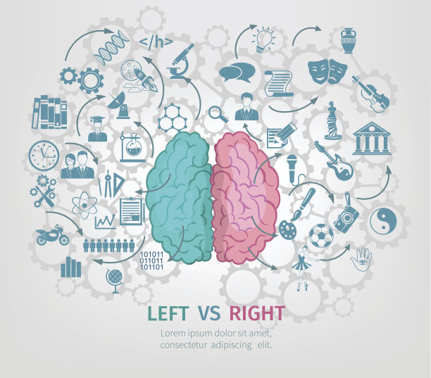 人类大脑的概念素材图片