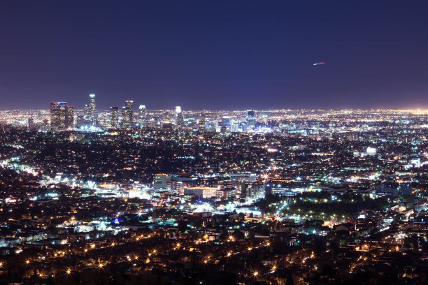 鸟的眼睛图片下载