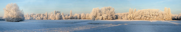 全霜景观全景图片下载