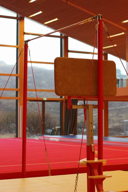 体操设备图片下载