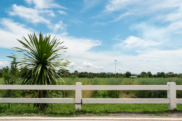 热带气候下的生态农田。图片下载