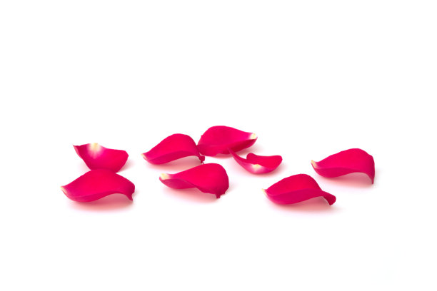 红色的花瓣。图片下载