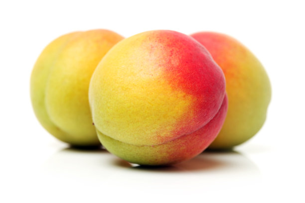 成熟的杏图片下载