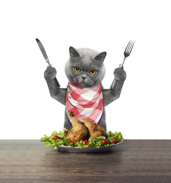 猫要吃鸡肉图片下载