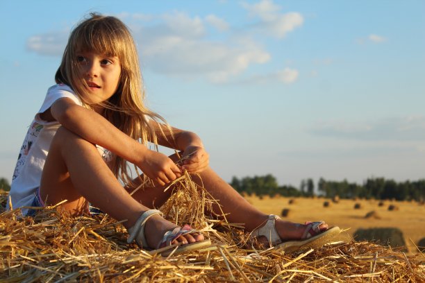 夏天是小小的生活图片下载