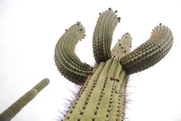 耙吸式挖泥船图片下载