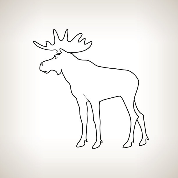 有角的公牛素材图片