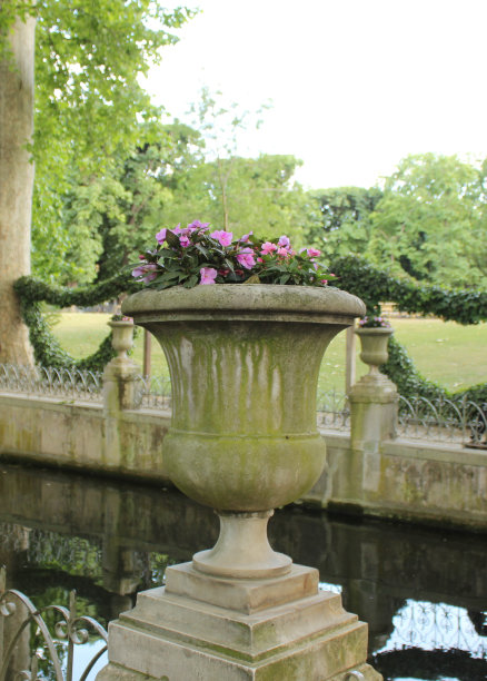 医生Vase图片下载