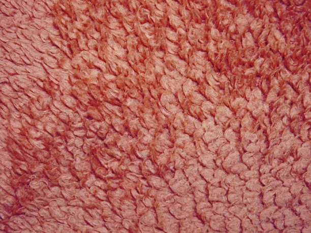 毛皮质地单调。图片下载