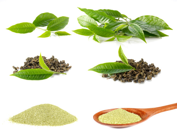茶叶，干茶，白底茶粉。素材图片